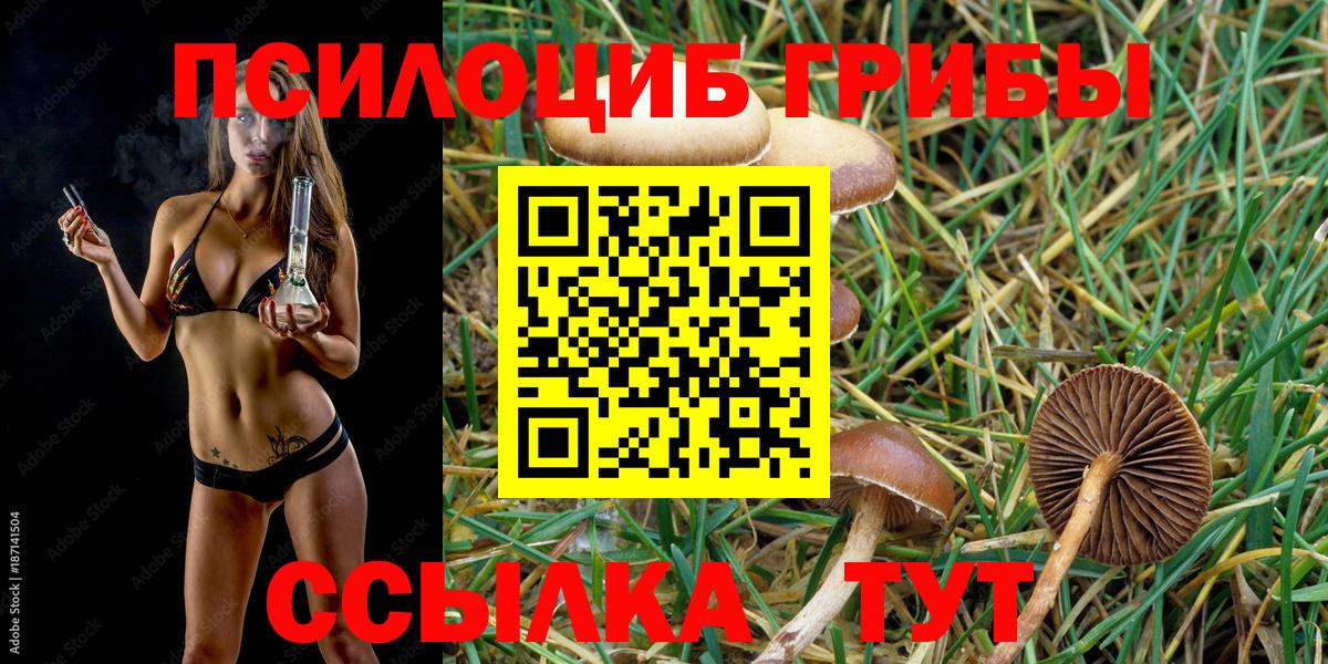 Псилоцибиновые грибы мухоморы Фролово